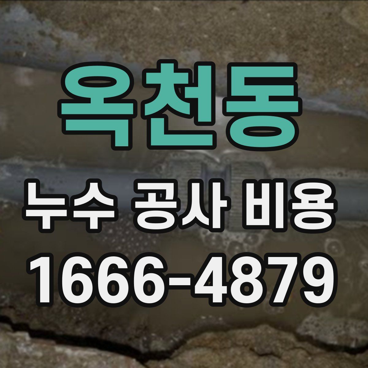 옥천동 누수 공사 비용