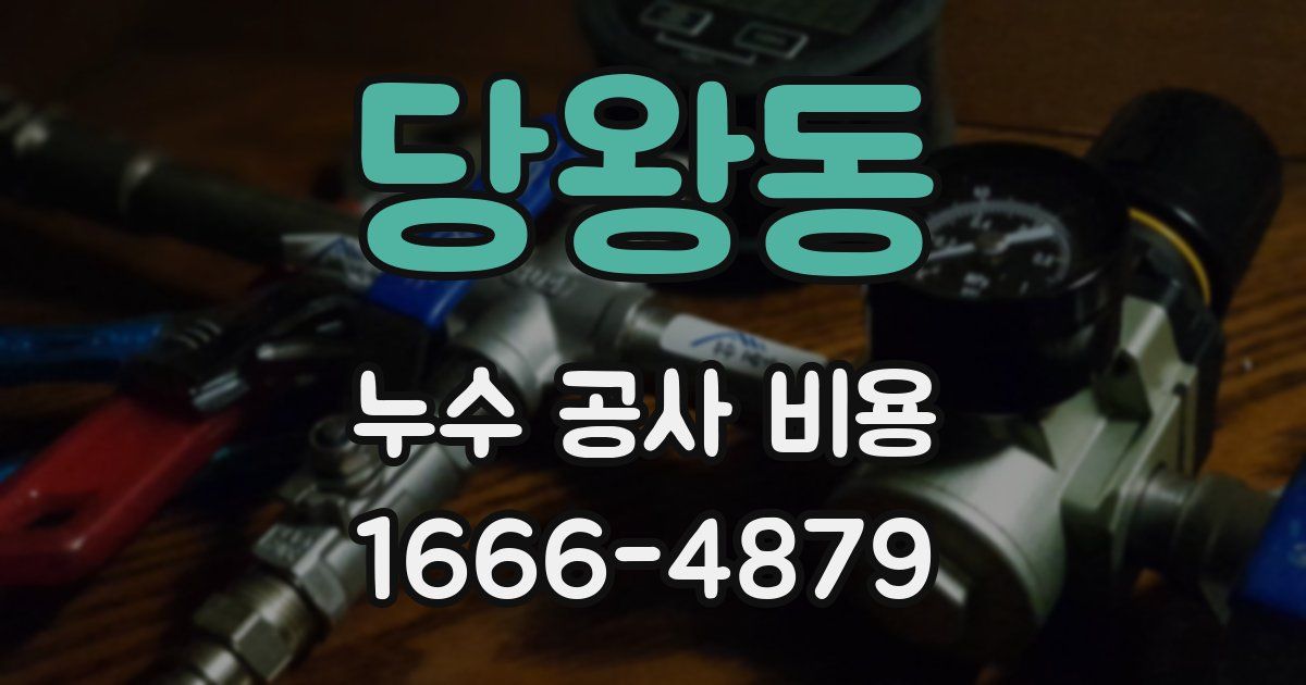 당왕동 누수 공사 비용