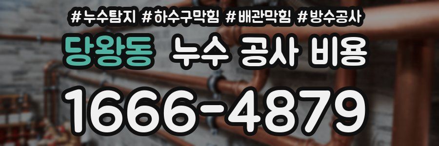 당왕동 누수 공사 비용