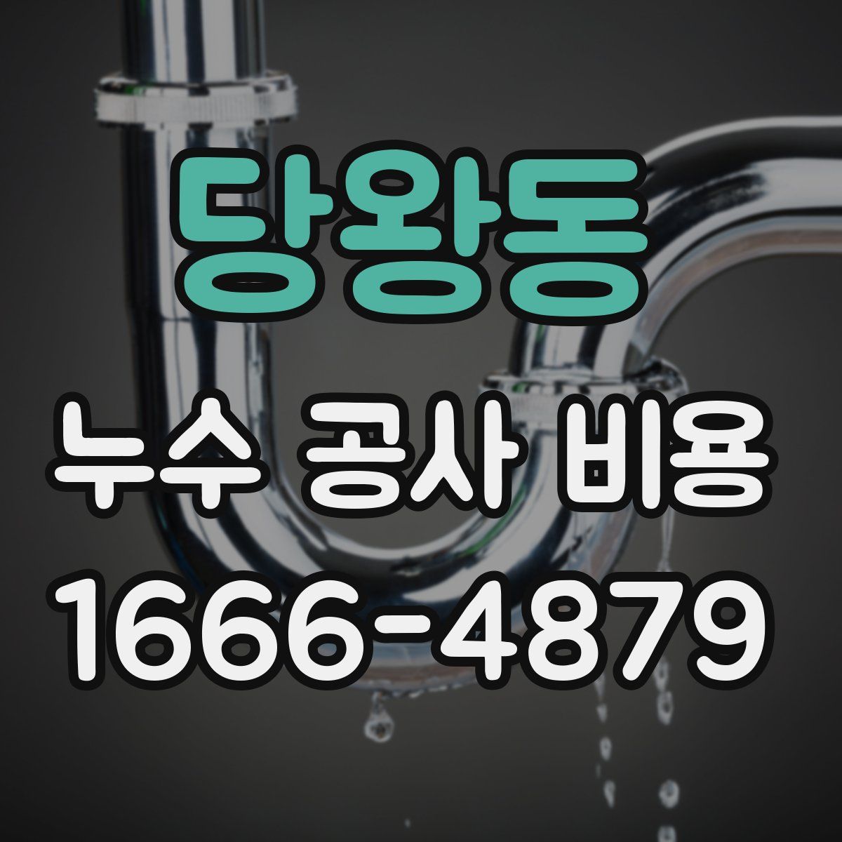 당왕동 누수 공사 비용
