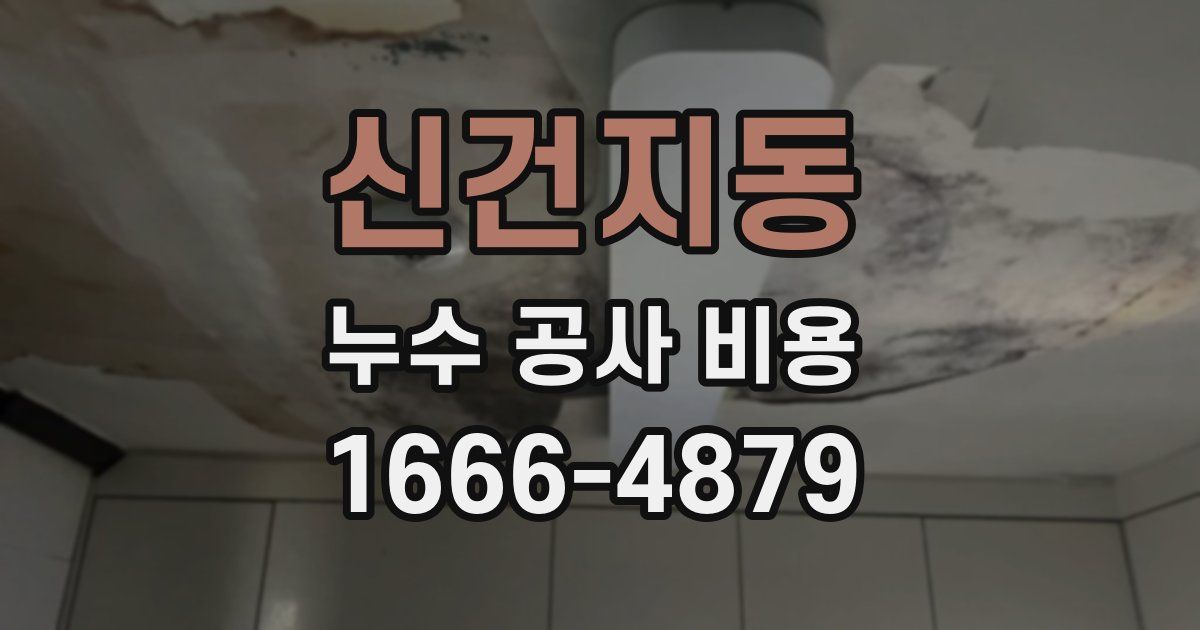 신건지동 누수 공사 비용