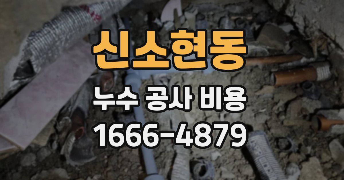 신소현동 누수 공사 비용