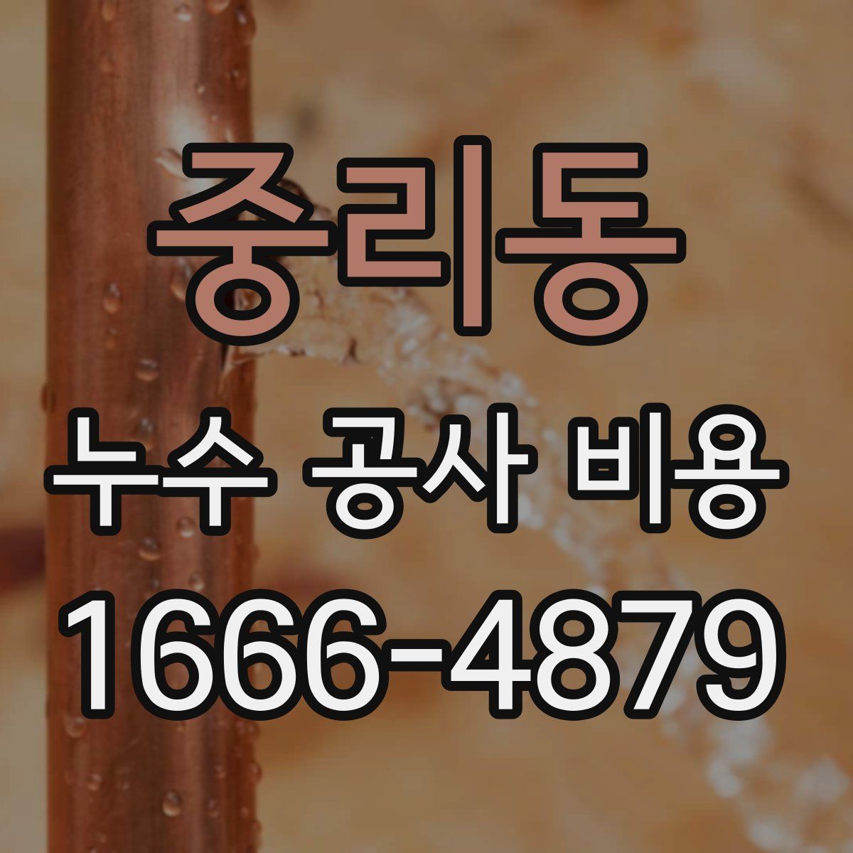중리동 누수 공사 비용