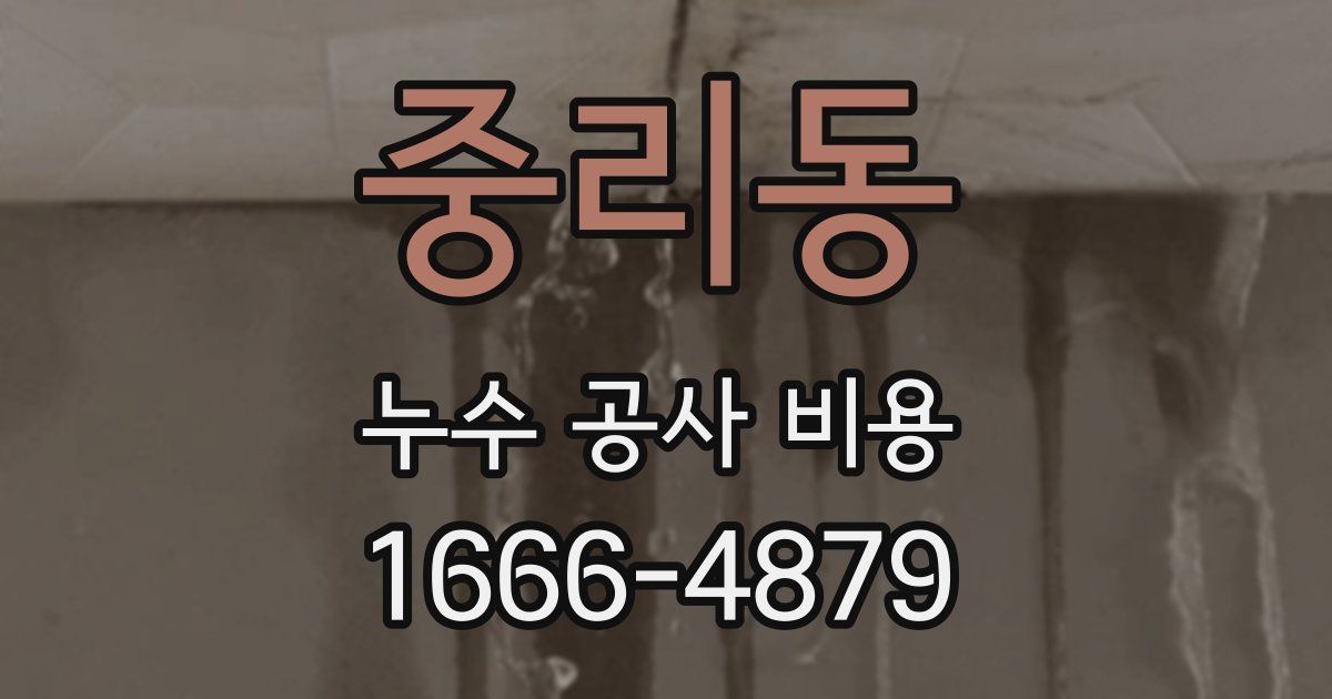 중리동 누수 공사 비용