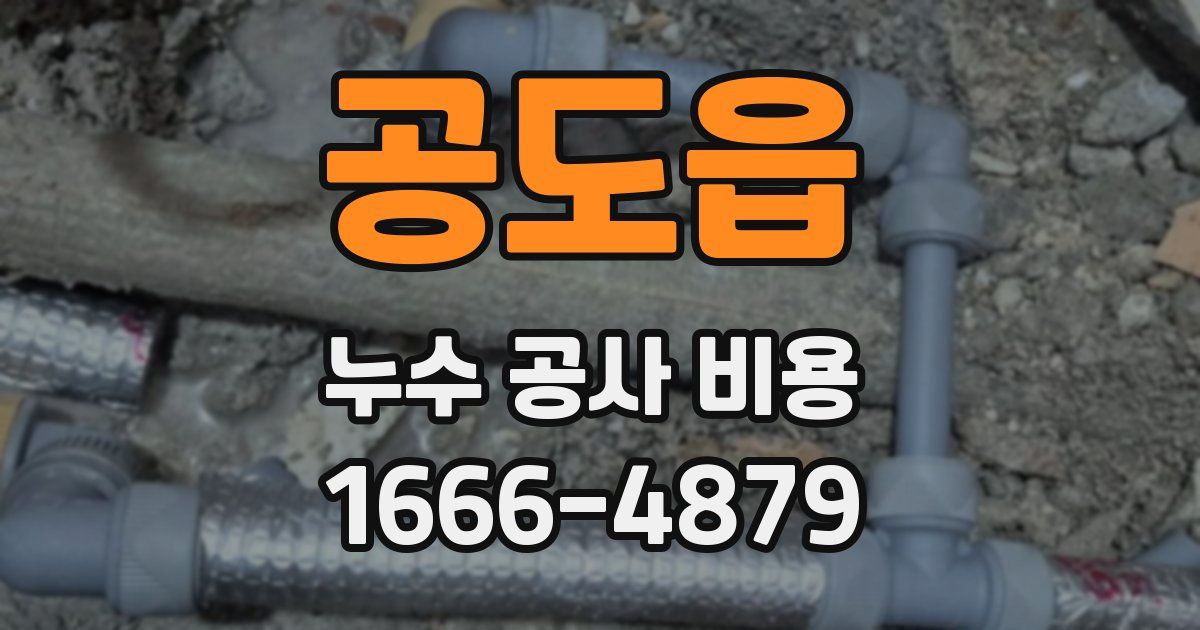 공도읍 누수 공사 비용