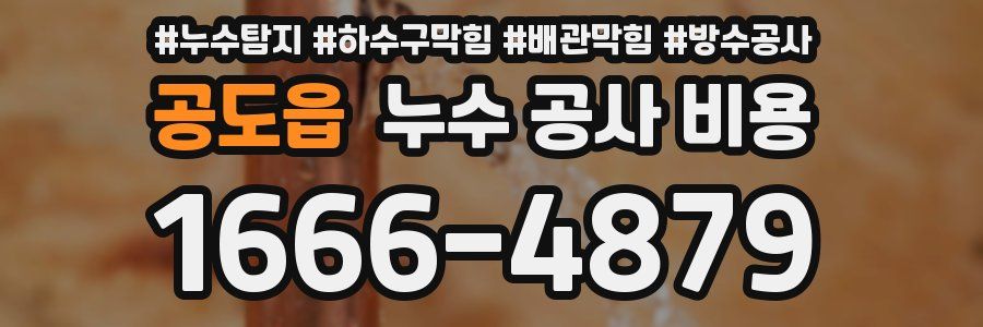 공도읍 누수 공사 비용
