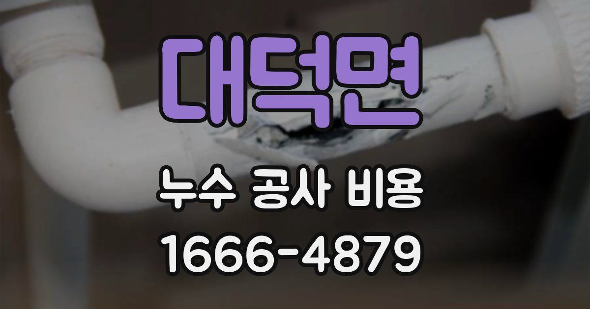 대덕면 누수 공사 비용