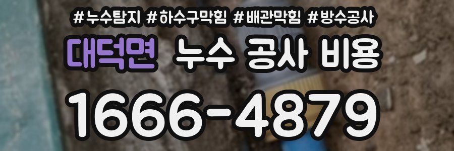 대덕면 누수 공사 비용