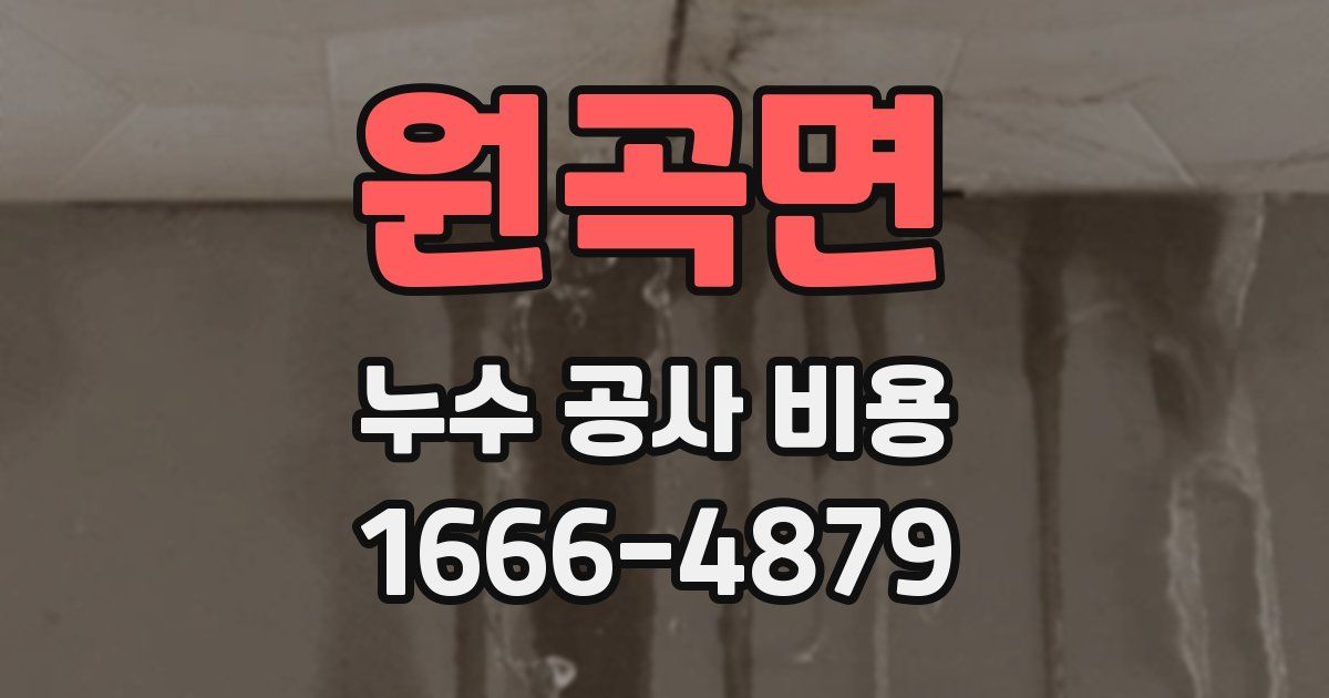 원곡면 누수 공사 비용