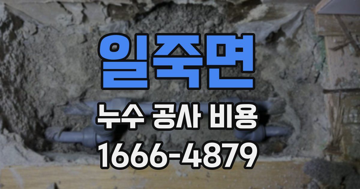 일죽면 누수 공사 비용