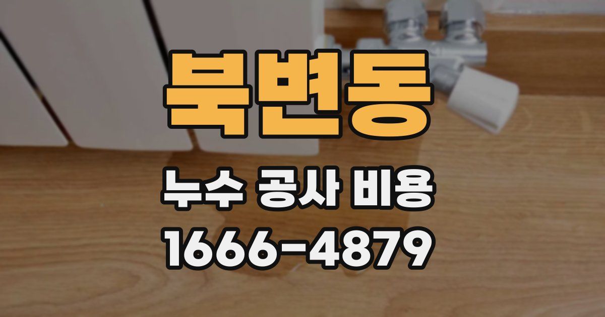 북변동 누수 공사 비용
