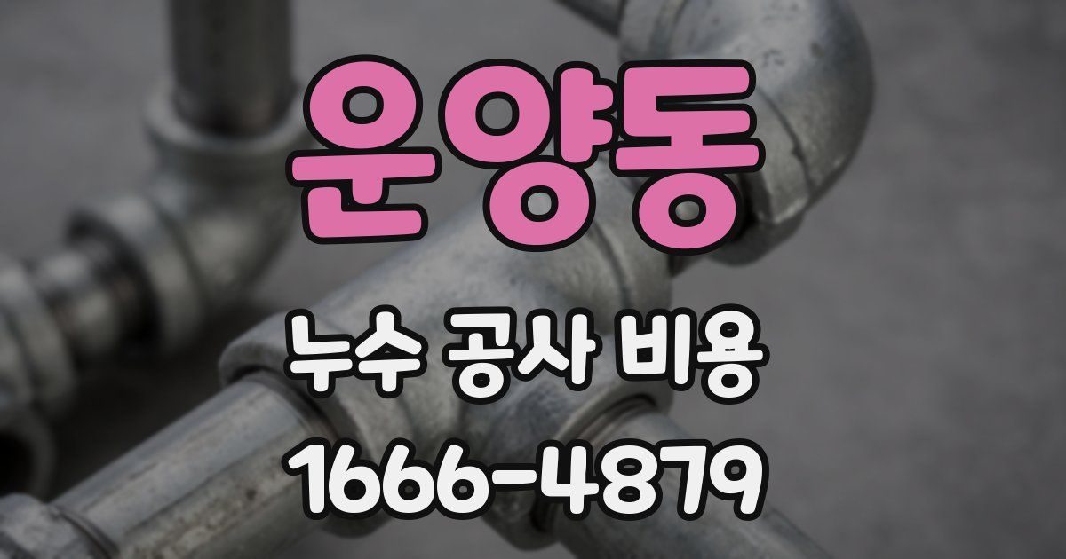 운양동 누수 공사 비용