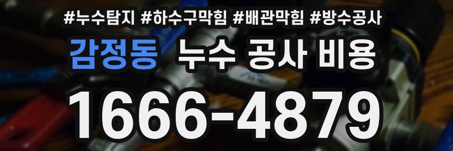 감정동 누수 공사 비용