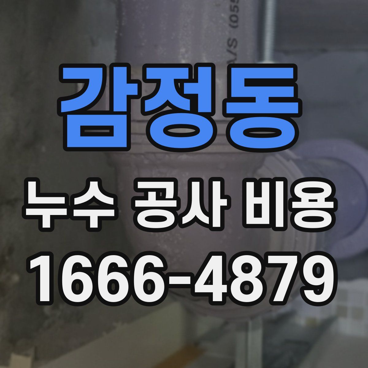 감정동 누수 공사 비용