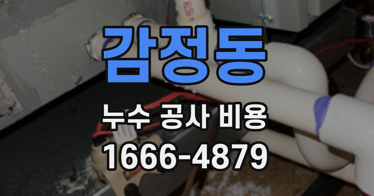 감정동 누수 공사 비용