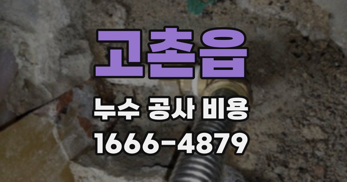 고촌읍 누수 공사 비용