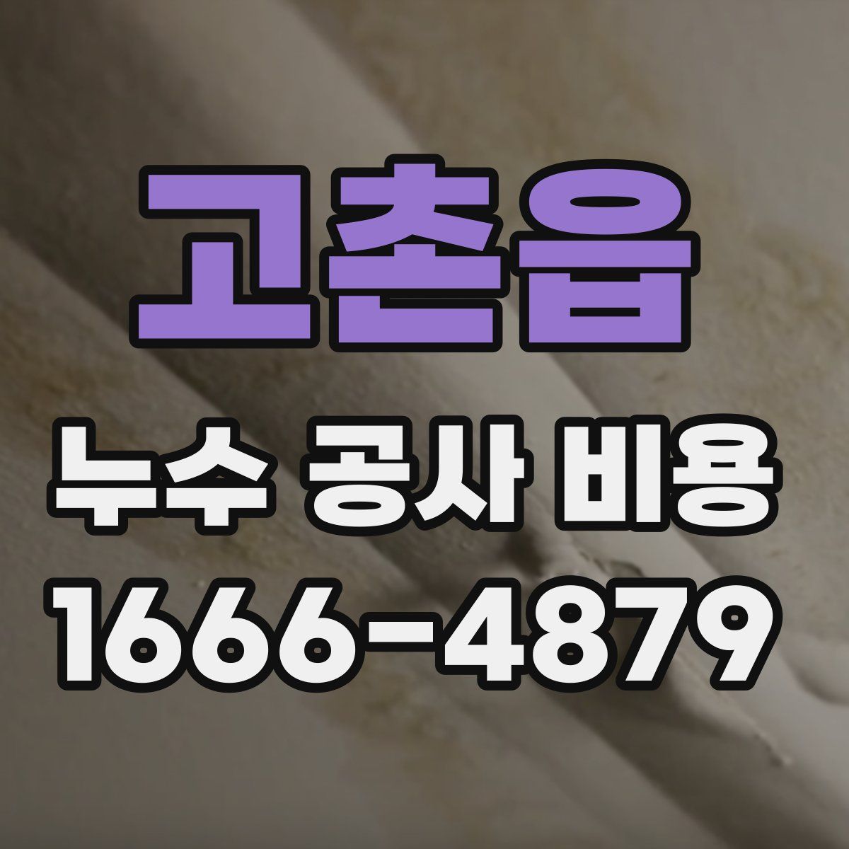 고촌읍 누수 공사 비용