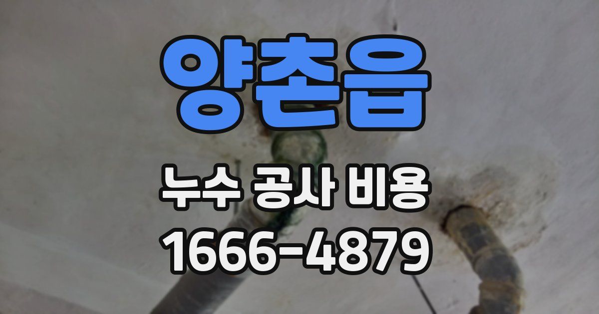 양촌읍 누수 공사 비용