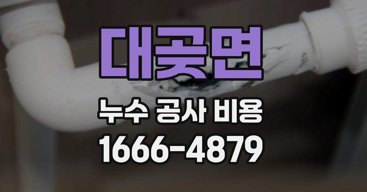대곶면 누수 공사 비용