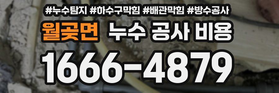 월곶면 누수 공사 비용