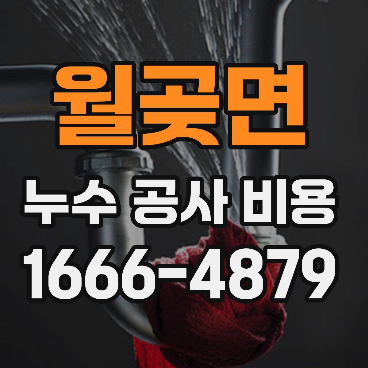 월곶면 누수 공사 비용