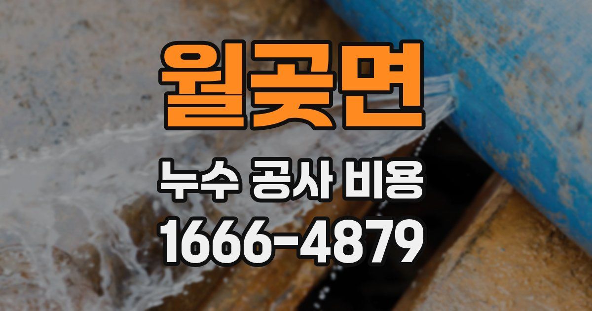 월곶면 누수 공사 비용