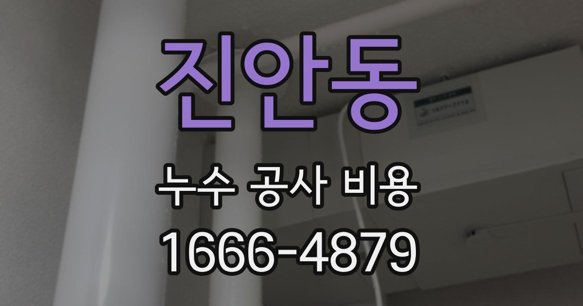 진안동 누수 공사 비용