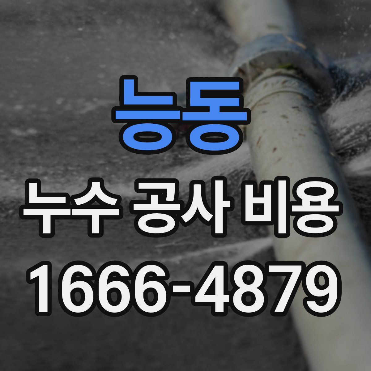 능동 누수 공사 비용