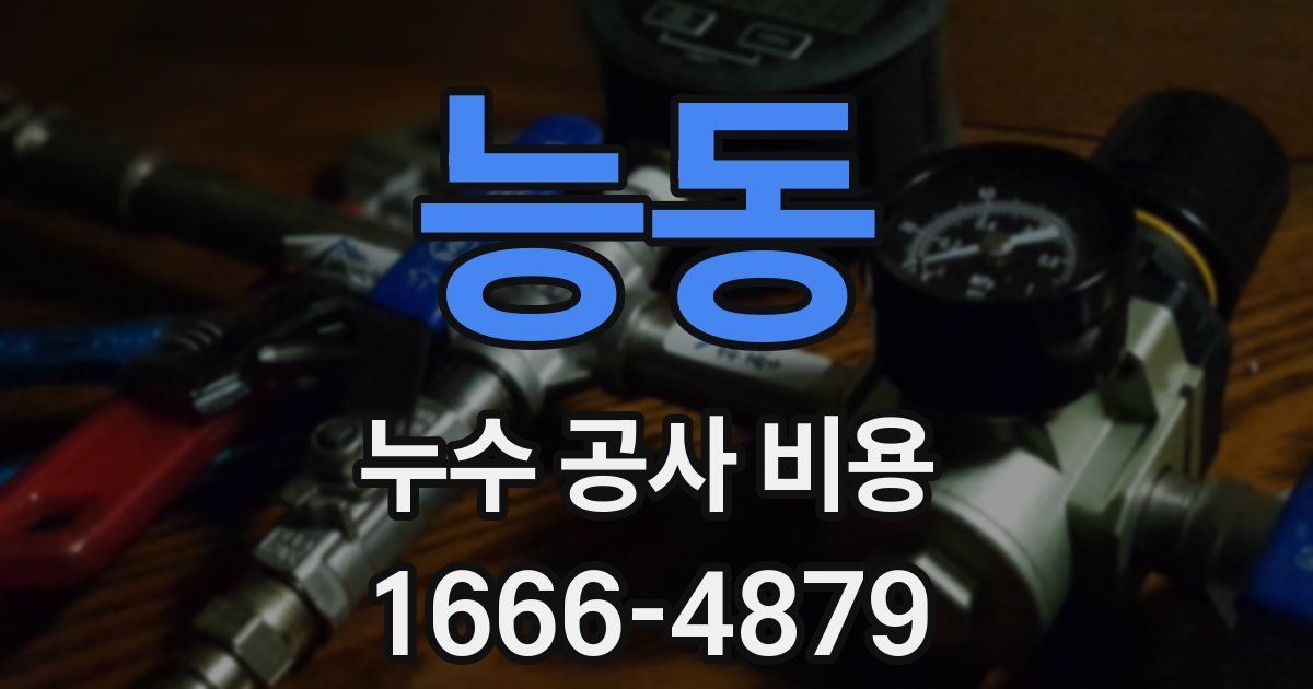 능동 누수 공사 비용