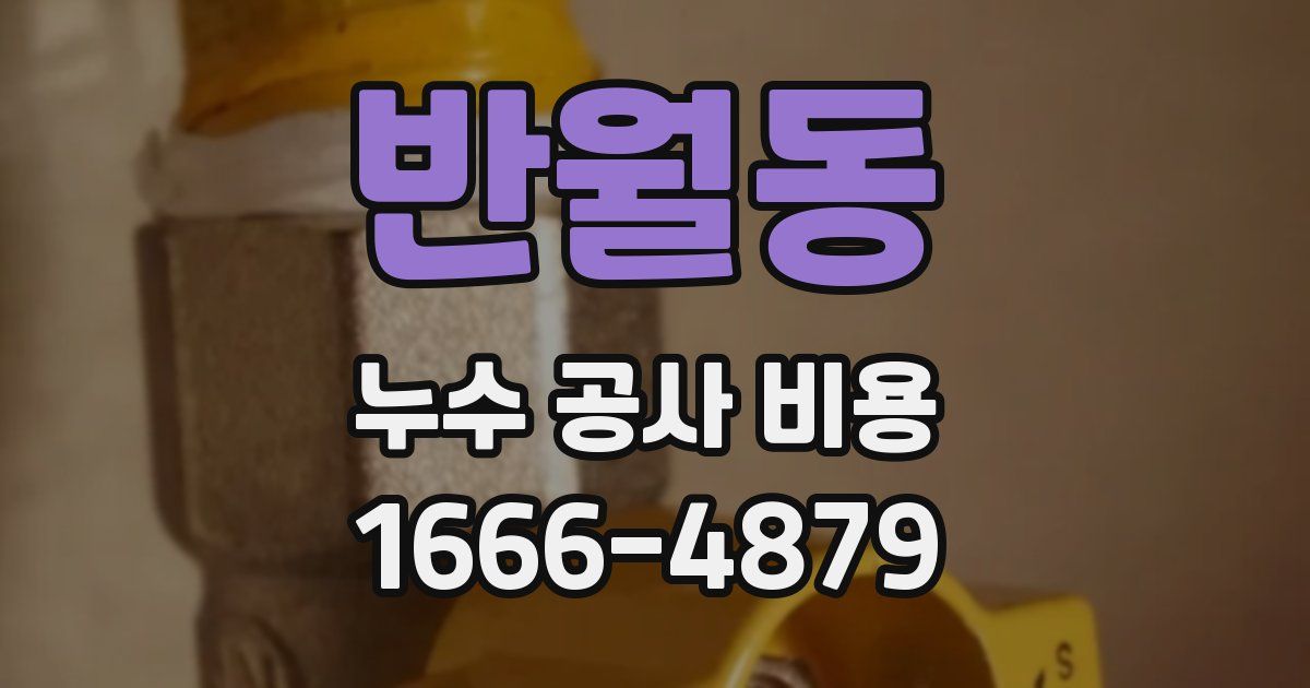 반월동 누수 공사 비용