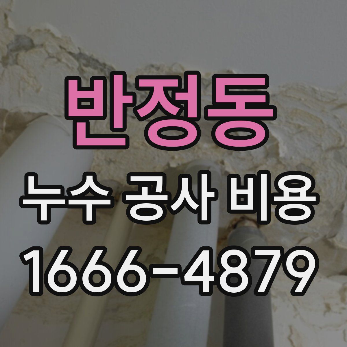 반정동 누수 공사 비용