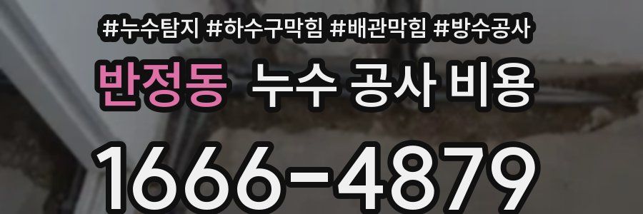 반정동 누수 공사 비용