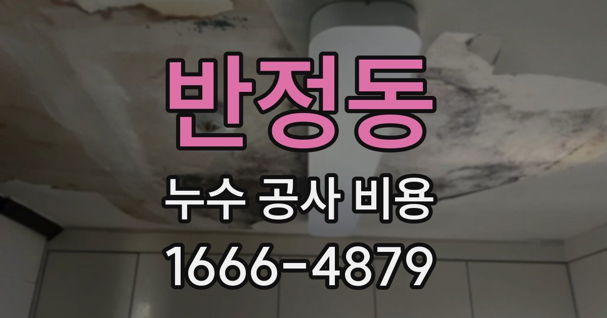 반정동 누수 공사 비용