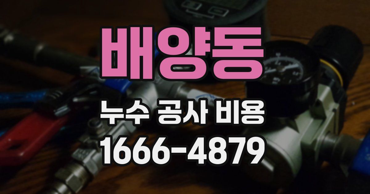 배양동 누수 공사 비용