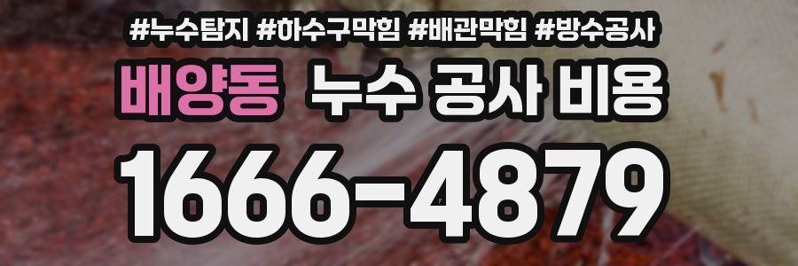 배양동 누수 공사 비용