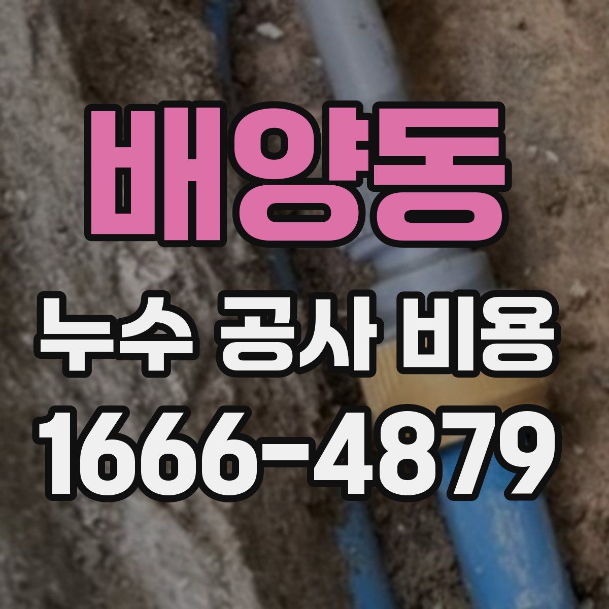 배양동 누수 공사 비용