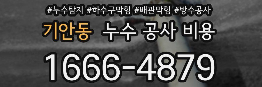 기안동 누수 공사 비용