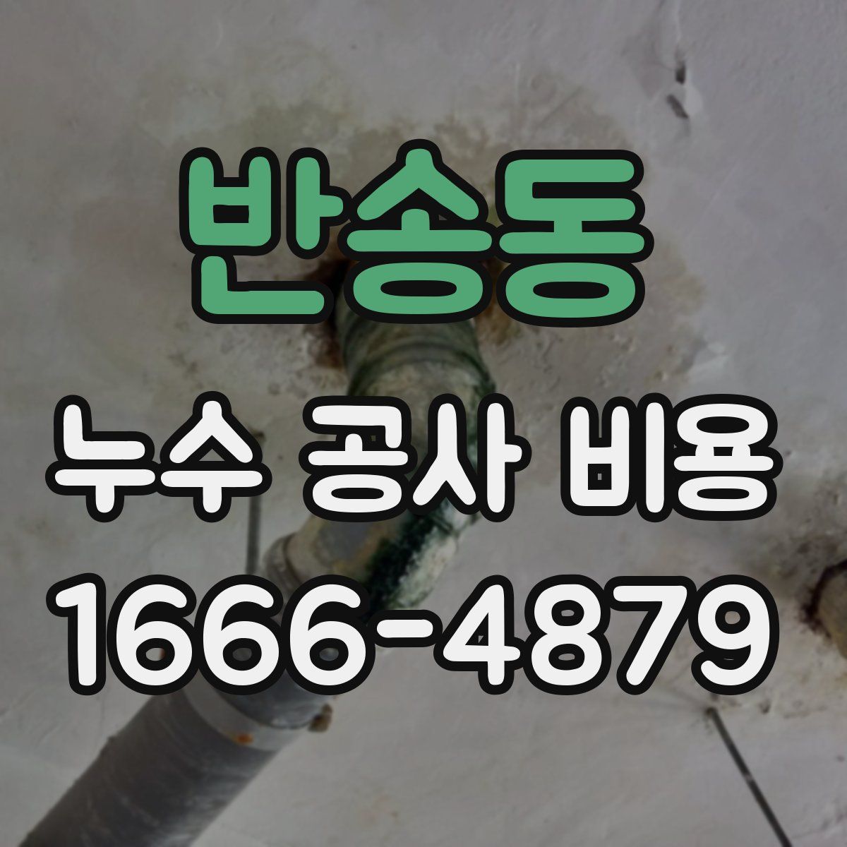 반송동 누수 공사 비용