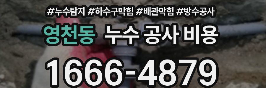 영천동 누수 공사 비용