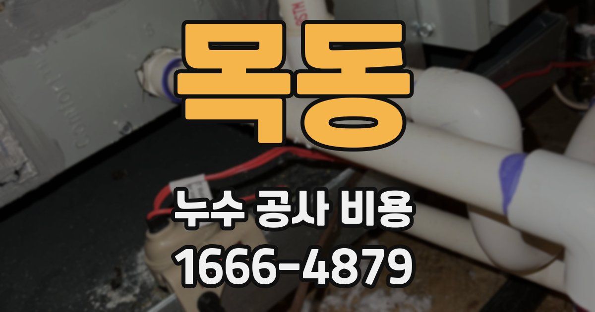 목동 누수 공사 비용