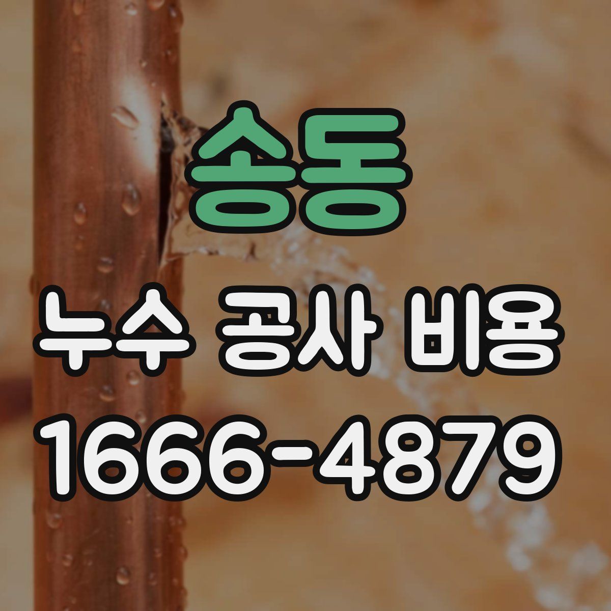 송동 누수 공사 비용