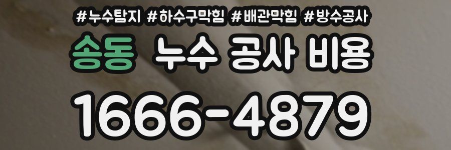 송동 누수 공사 비용