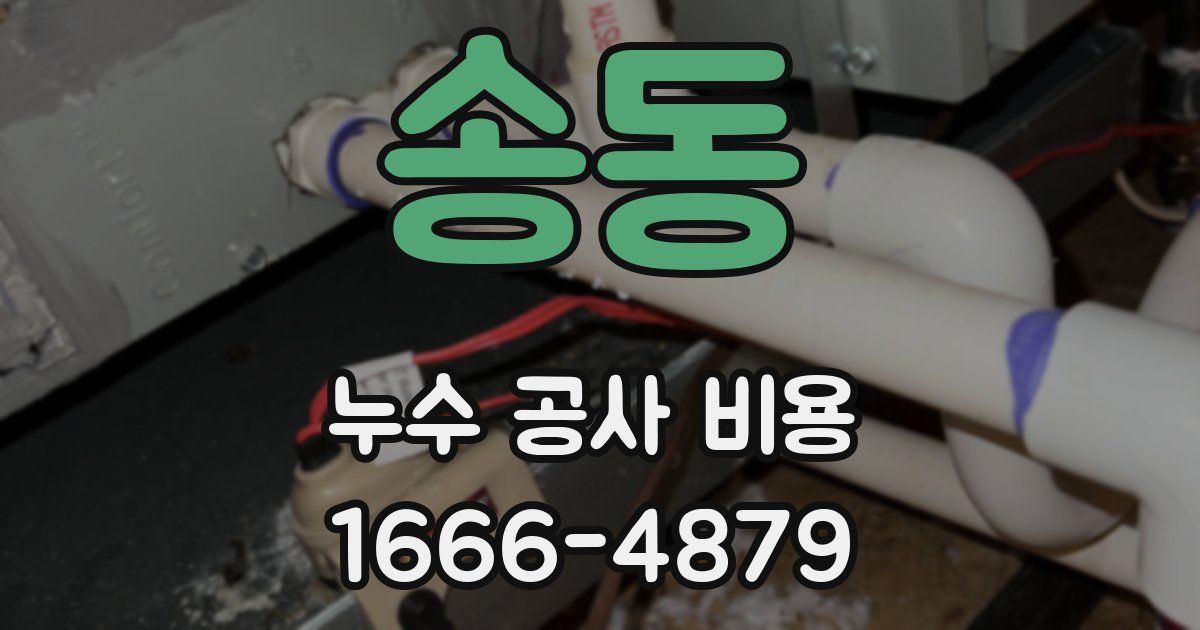 송동 누수 공사 비용
