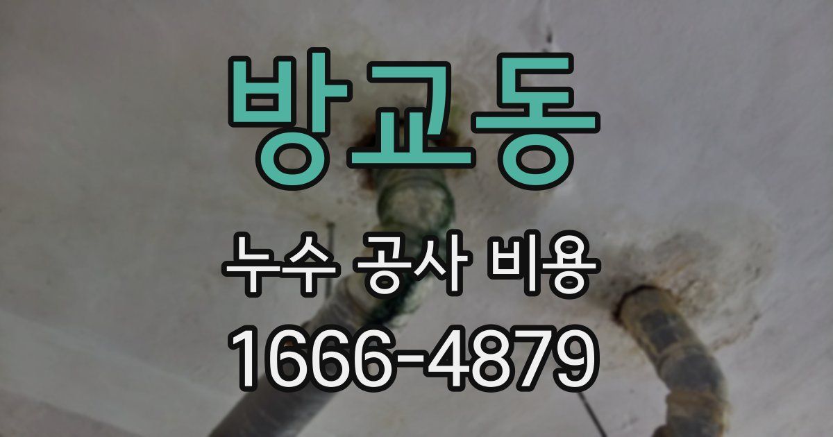 방교동 누수 공사 비용