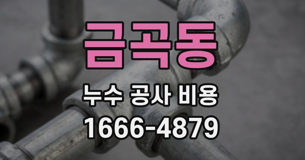 금곡동 누수 공사 비용