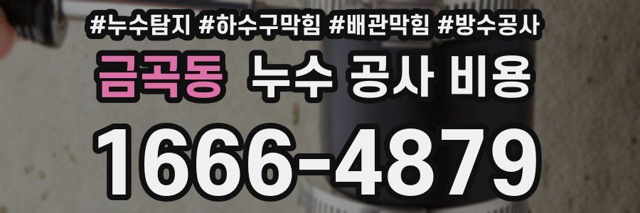 금곡동 누수 공사 비용