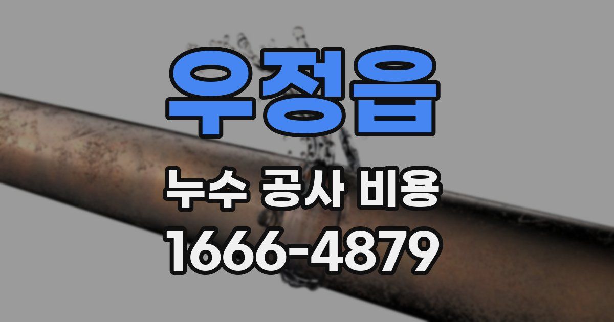 우정읍 누수 공사 비용