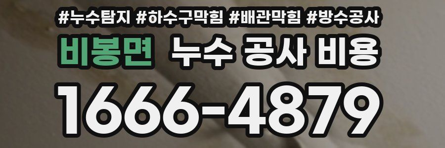비봉면 누수 공사 비용