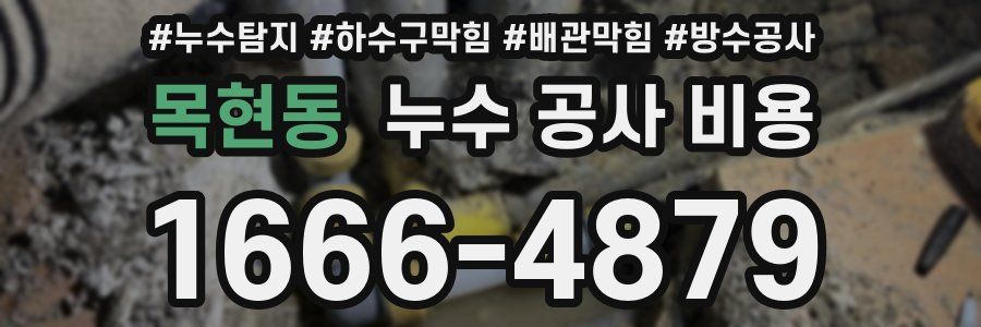 목현동 누수 공사 비용