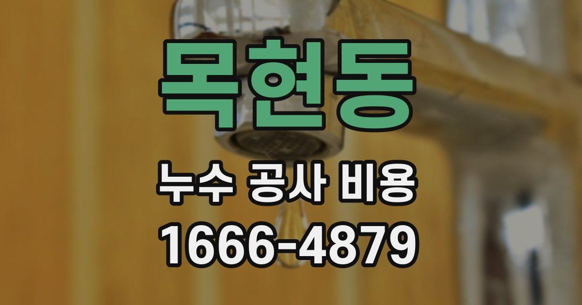 목현동 누수 공사 비용